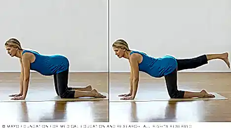 Bacak Kaldırma (Leg Raises)